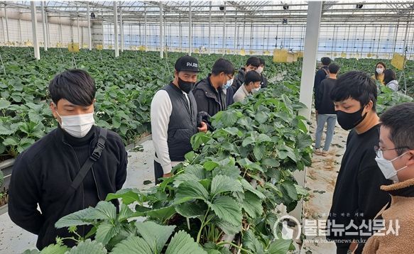 전북도, 내년도 청년농 스마트팜 창업에 62억원 지원