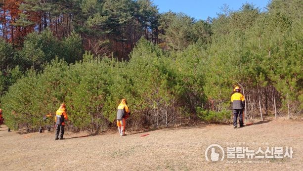 경북도, 11월 숲 가꾸기 기간 맞아 명품 숲가꾸기 체험 행사 개최