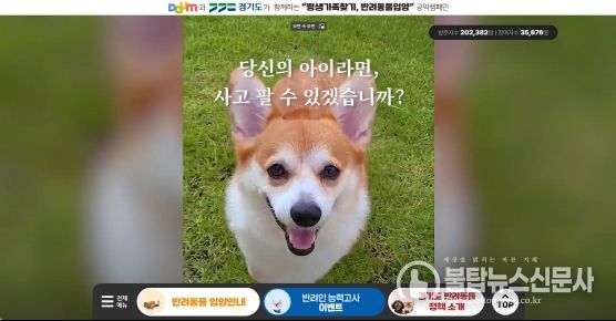 경기도 동물 입양 문화 확산 공익캠페인