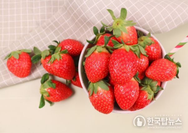 산청군 산엔청 공동브랜드 딸기 이미지