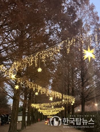 담양군, 전남 유일 크리스마스 축제 ‘2023 담양 메타뮤직페스티벌’ 개최