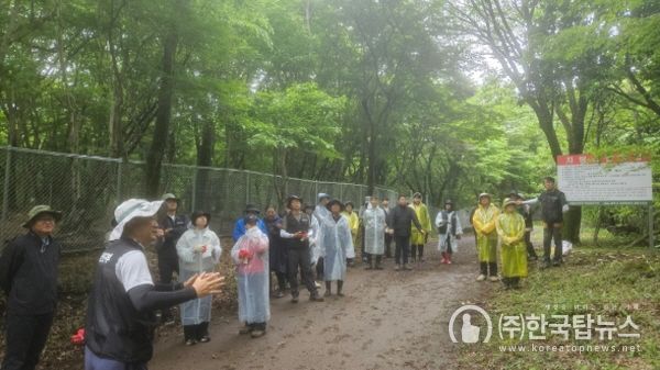 제주 멸종위기 야생식물 비자란·석곡 복원