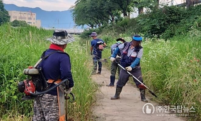 임실군 오수면, 주요 도로 및 하천 변 풀베기 작업 실시