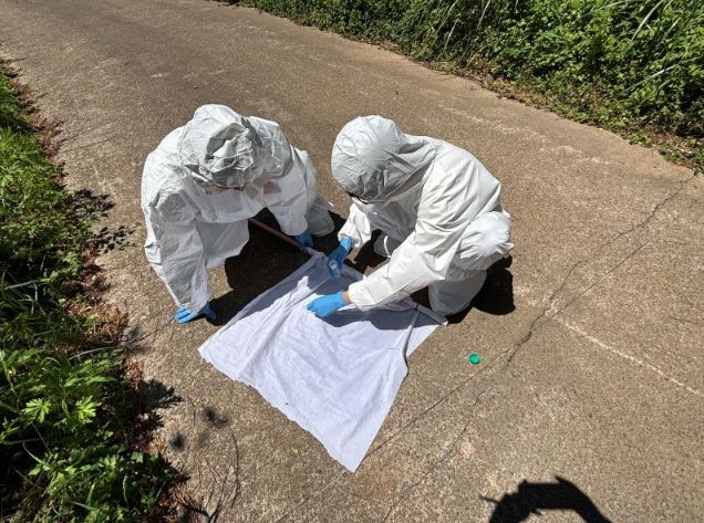 SFTS 진드기 밀도 조사