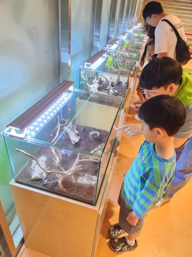 전주자연생태관, 여름방학 특별체험 프로그램 운영