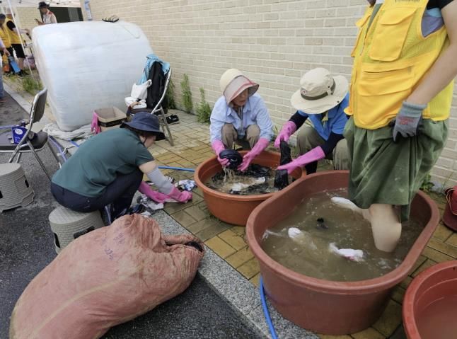 세탁봉사 활동 사진