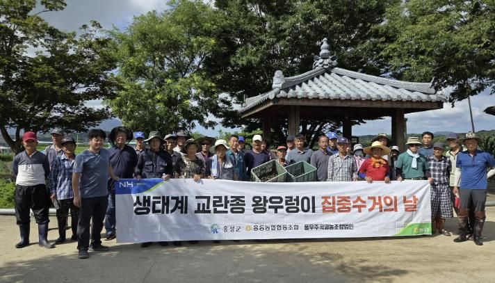 홍성군, 왕우렁이 집중 수거의 날 행사 개최