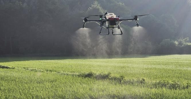 식량작물 사전예찰 및 공동방제 추진