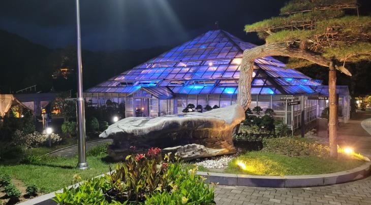 양구수목원 야간개장 시작