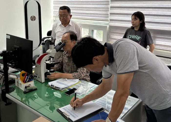 새꼬막 유생검경