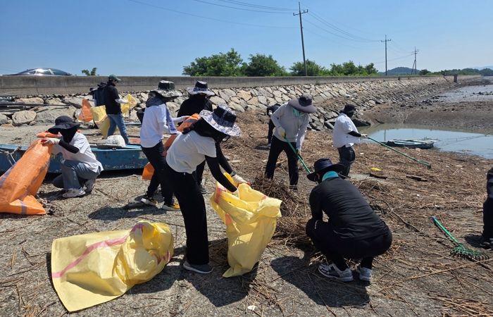 해양쓰레기 정화활동 사진