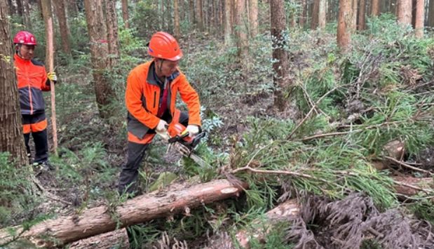 서귀포시, 2025년 국유림 숲가꾸기 사업 추진