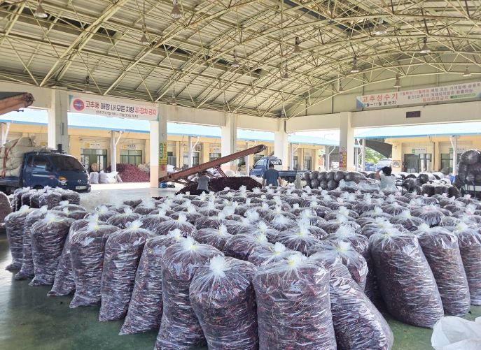 농산물도매시장 고추동 신규 중도매인 모집