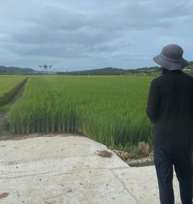 주요 병해충 기본방제 기간 ‘8월 6일부터 17일까지’ 운영