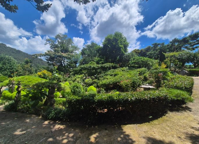 대상‘은행나무농원 꽃이랑 나무랑’