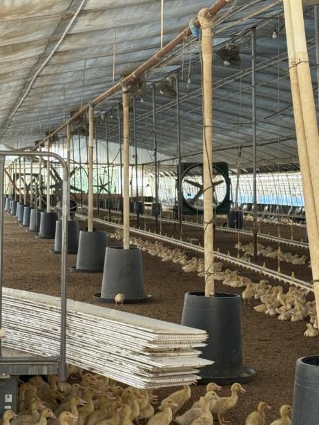 폭염대응 축산농가 현장점검