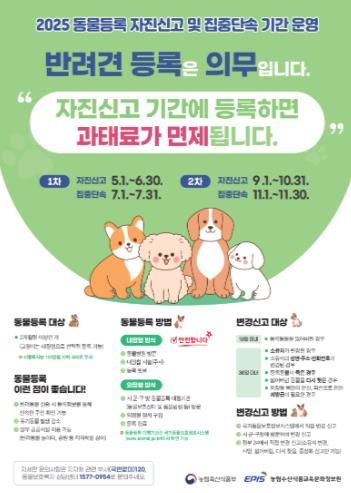 김제시, 2025년 반려동물 자진신고 기간운영