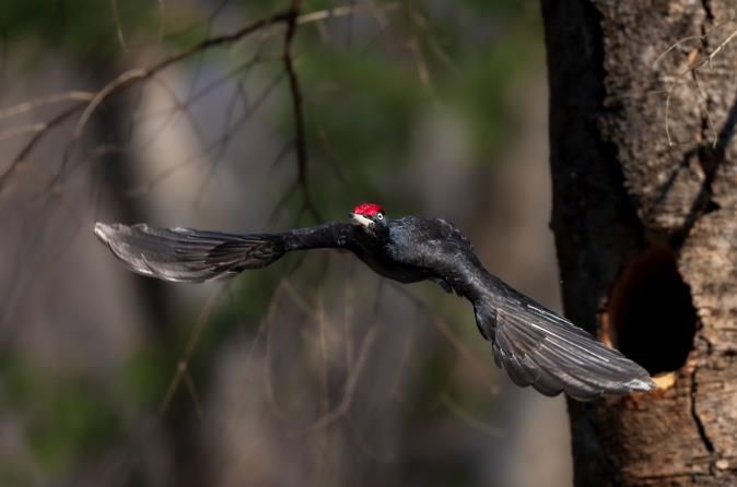생물부문 대상작