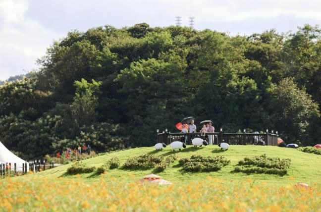 나리농원 전경