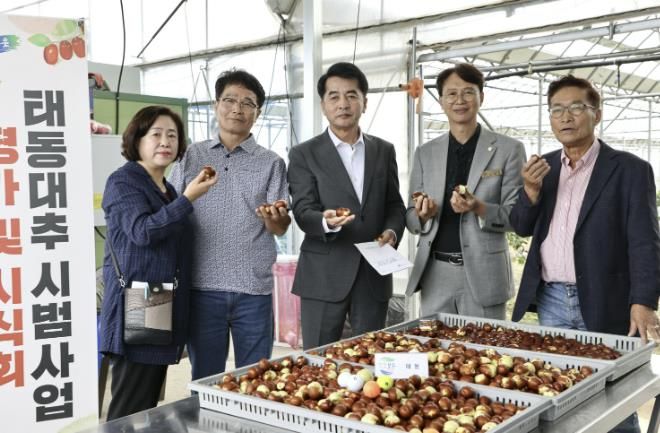 보은군, 태동대추 시범사업 평가 및 시식회 개최