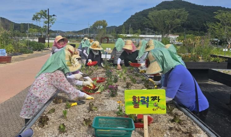 기장군 철마도시농업공원, 도심 속 텃밭 교육으로 어르신 활력 증진