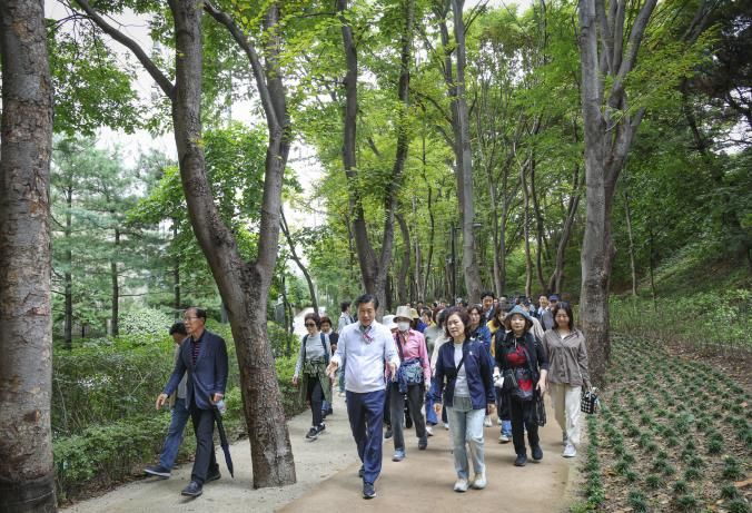 10월 14일 개최된 ‘길마중 초록숲길 건강걷기’에 참여한 전성수 서초구청장(가운데)이 주민들과 이야기를 나누며 걷고 있다.