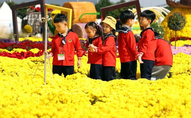 제10회 강진만 춤추는 갈대축제