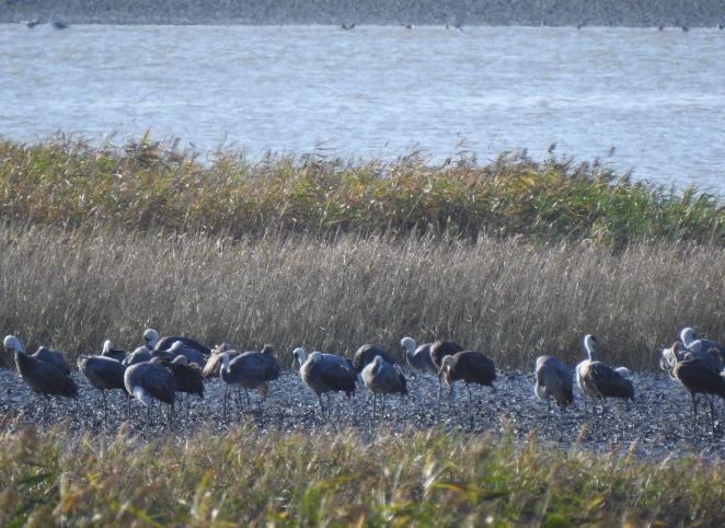 겨울 핫플, ‘순천여행’