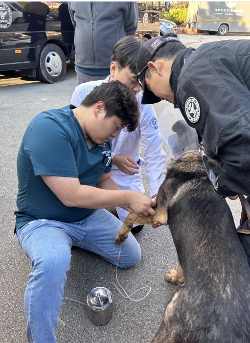 경상국립대학교 수의과대학, APEC 정상회의 기간 경찰견 의료지원